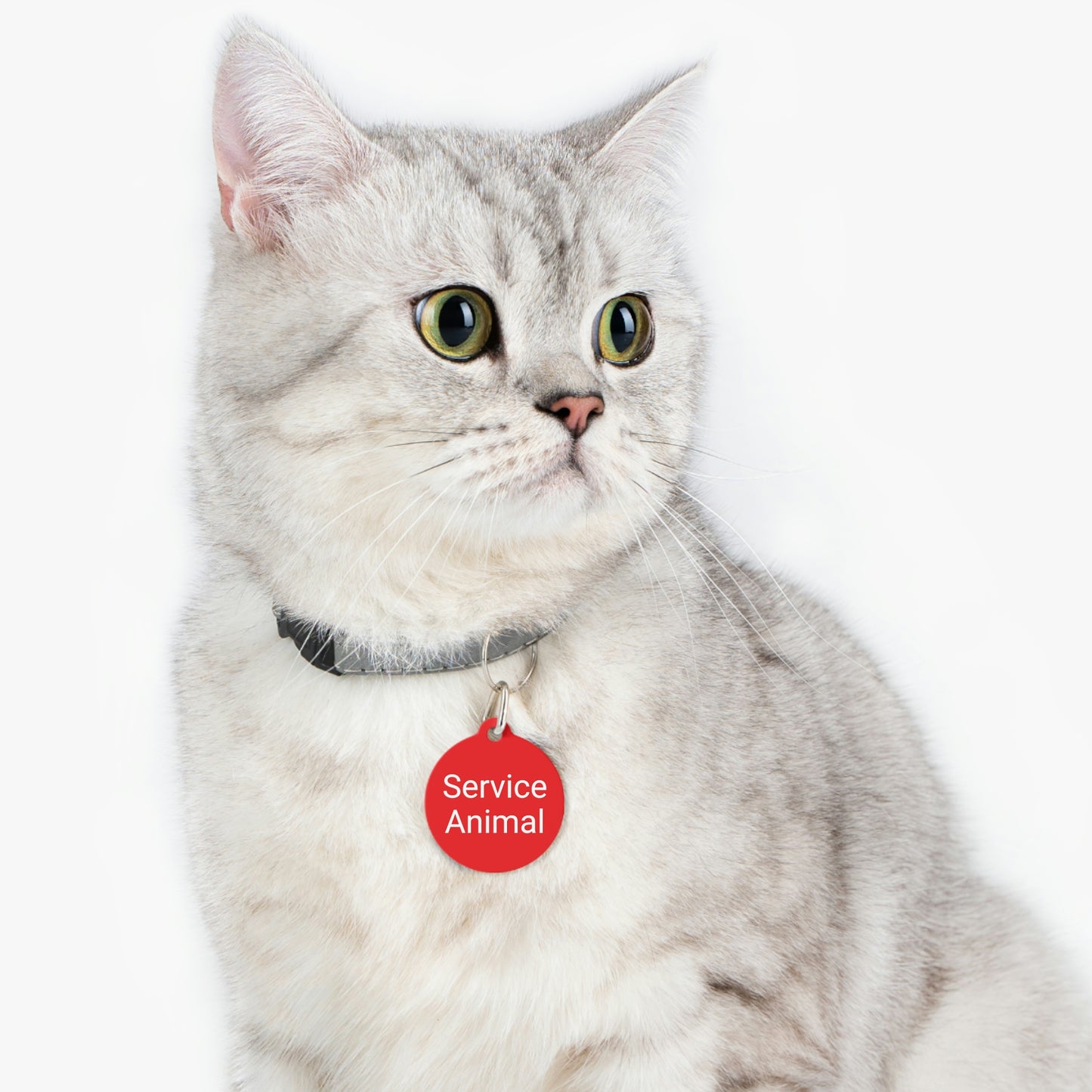 Service Animal Pet Tag