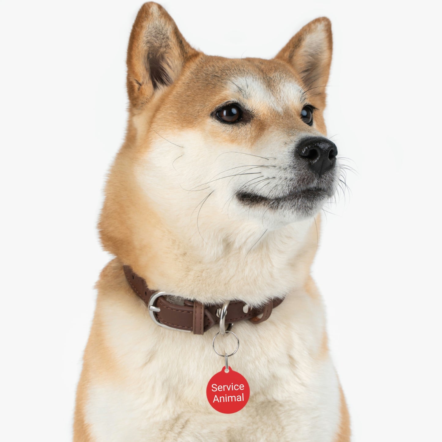 Service Animal Pet Tag
