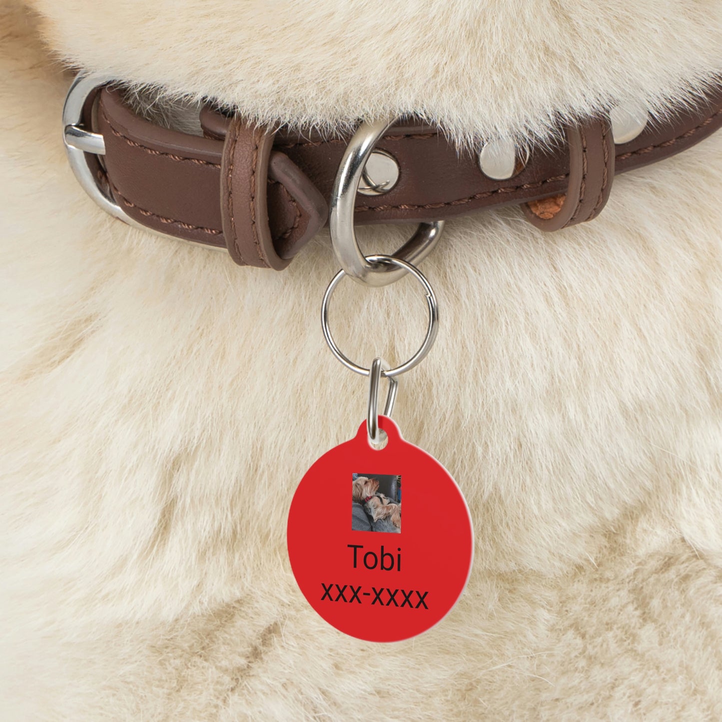 Personalized Pet Tag