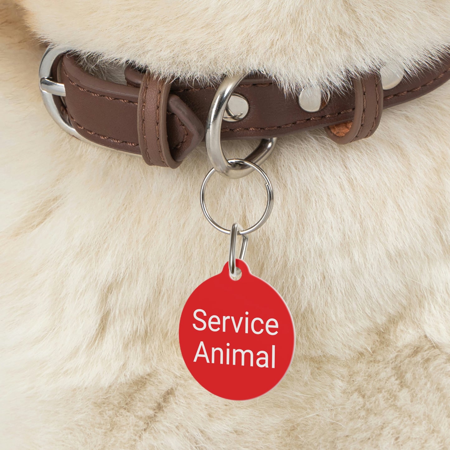 Service Animal Pet Tag
