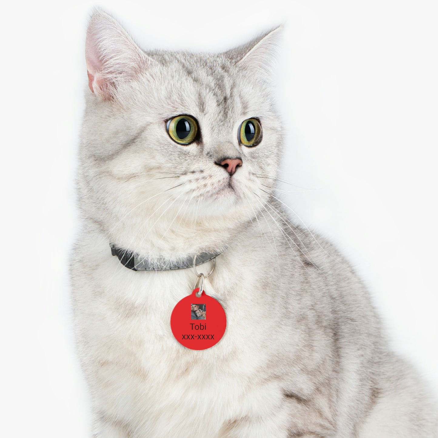 Personalized Pet Tag